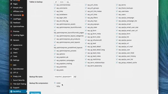 How To Backup WordPress with BackWPup, a Free Backup Plugin смотреть онлайн