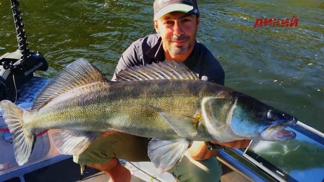 На дальних берегах. Эпизод 4. смотреть онлайн