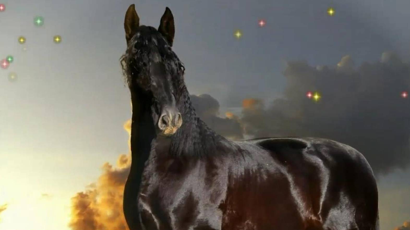 Коняшки смотреть онлайн