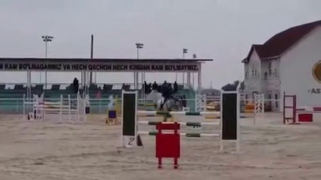 Конкур среди молодых лошадей 6 лет 120см смотреть онлайн