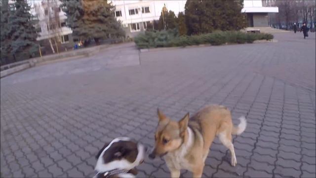 Гарний, нахабний, закоханий. / Beautiful, cheeky, in love. смотреть онлайн