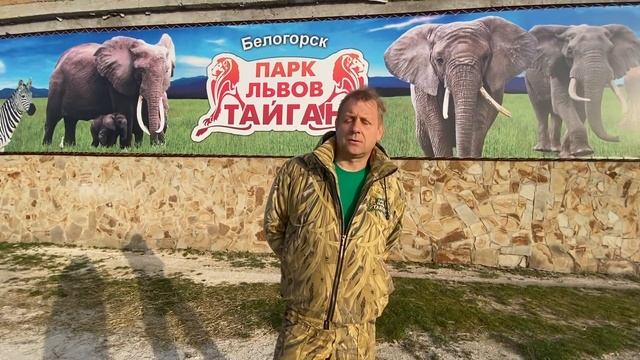 В Тайган приехали слоны! Я так долго об этом МЕЧТАЛ! смотреть онлайн