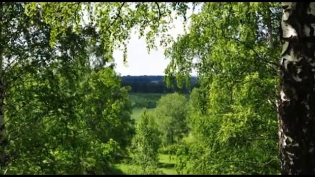 "Березовый Вальс" Песня Валентины Волковой смотреть онлайн
