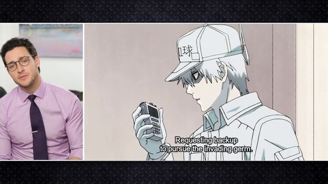 Real Doctor Reacts to CELLS AT WORK (Hataraku Saibō) смотреть онлайн