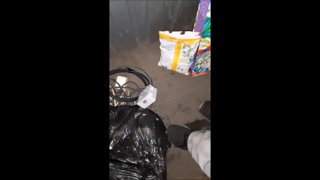 Нашел на помойке 50.000 рублей 78 гривней 2 мобилы. Новые игрушки. смотреть онлайн