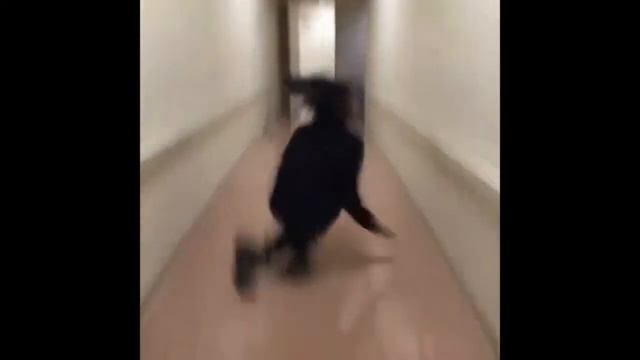Head Bobbing vine Remix смотреть онлайн