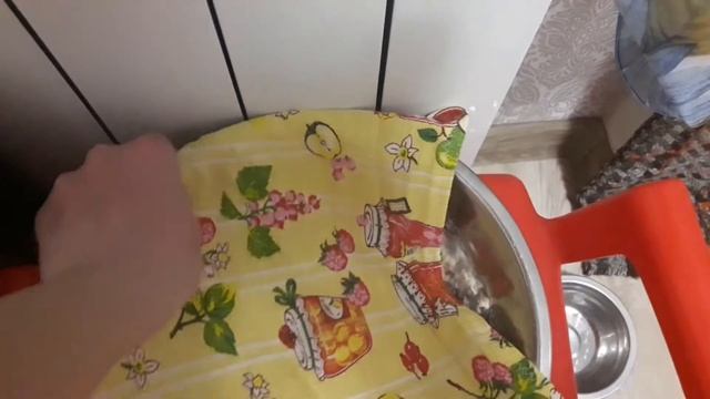 Кошка через порог/ Про кошачью больницу, переезд, пиццу, утюг и весы/ Снеговик/ Прогулка по лесу смотреть онлайн