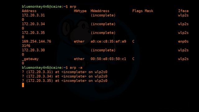 LCL 22 - basic networking - Linux Command Line tutorial for forensics смотреть онлайн