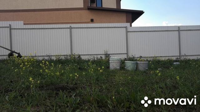 Влог, клубничное варенье, покос травы) смотреть онлайн