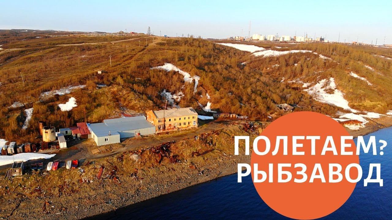 Полетаем над Дудинкой? Рыбзавод смотреть онлайн