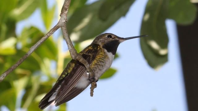 Аффирмации Уверенной женщины на каждый день смотреть онлайн