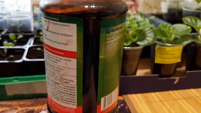 Подкормка рассады перца, томатов, цветов гуматом калия. смотреть онлайн