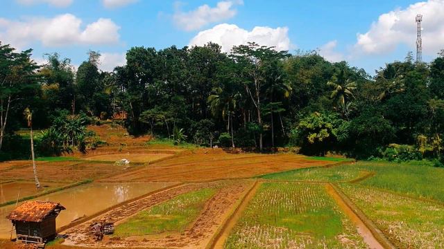 This Is What A Narcissist Does When They Hurt You Instead Of Saying They're Sorry | NPD | Abuse смотреть онлайн