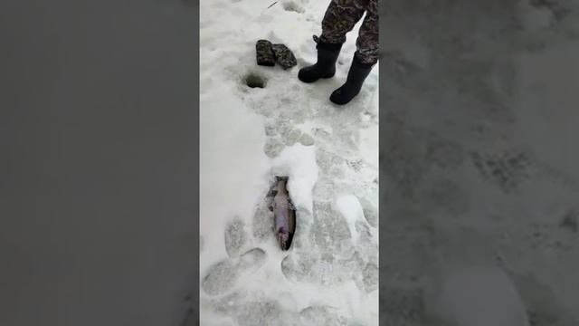 РЫБАЛКА В ЮДИНО смотреть онлайн