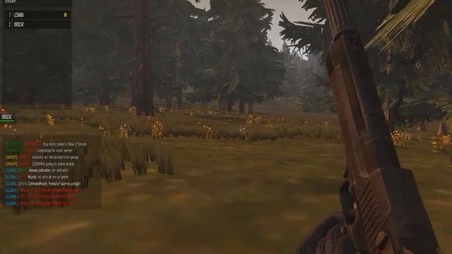 NewZ #2 Серый орехи колит смотреть онлайн