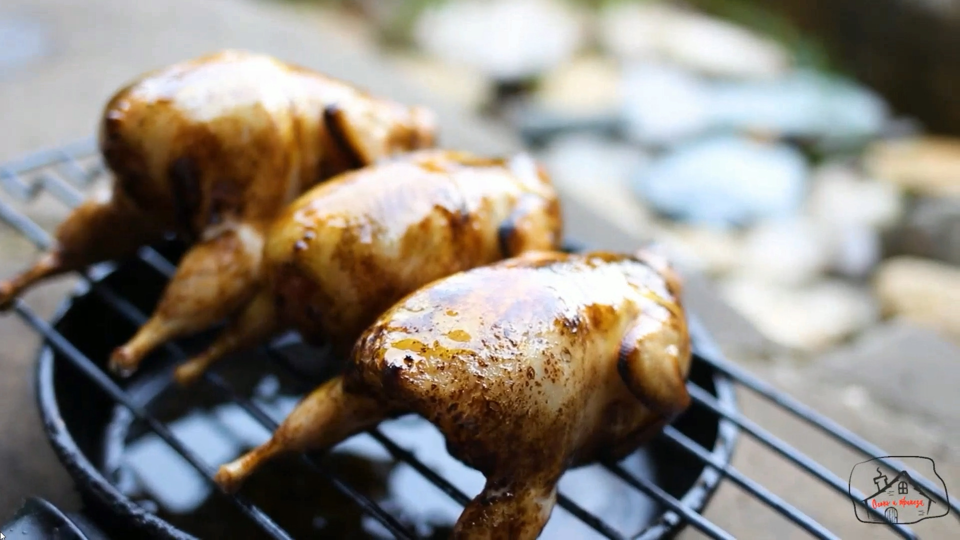 Фаршированные перепела бараниной и шашлык из сулугуни со смородиновым соусом