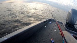 Рыбинка. Рыбалка на рыбинском водохранилище. Ловим в отвес и на поплавочную удочку окуня.