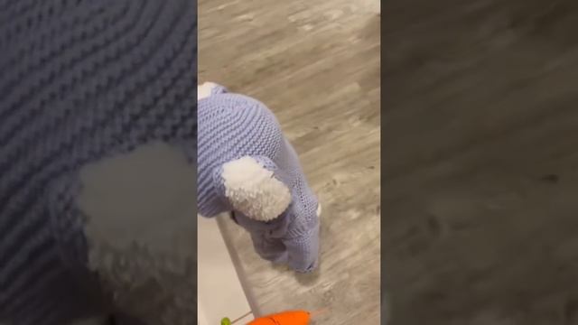 Ника в костюме зайца отнимает морковку ?