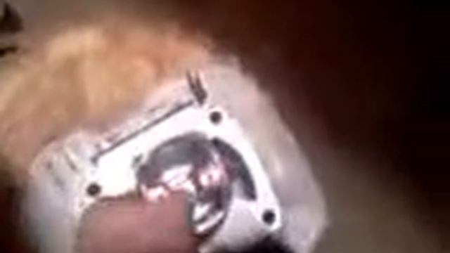 Лепесток на чезет 250 смотреть онлайн