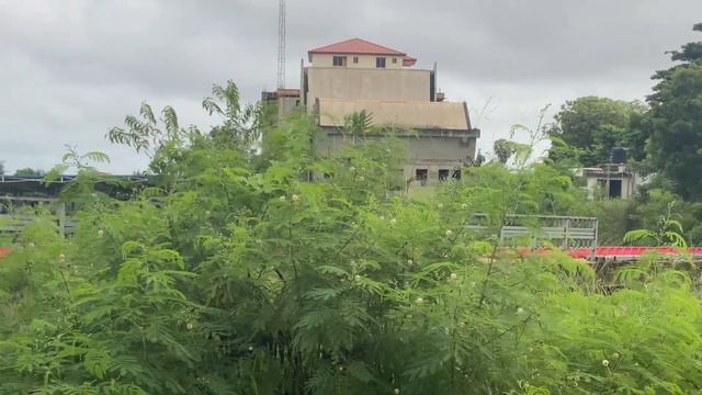 $4 million Azumah Nelson Sports Complex turns bush смотреть онлайн