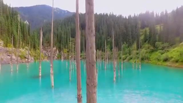 Қайыңды көлі. Озеро Кайынды. смотреть онлайн