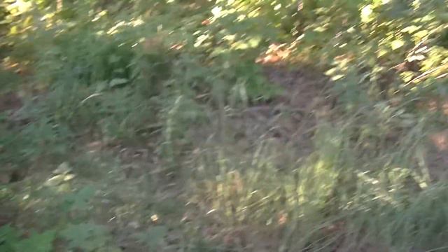 Открываем сезон летнего отдыха на природе. смотреть онлайн