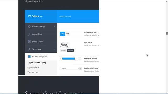 Salient - Responsive Multi-Purpose theme review & bonus смотреть онлайн