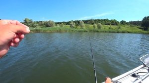 Крупный окунь на вибы (ратлины), как ловить крупного окуня летом