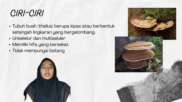 Ganoderma Applanatum || Protista & Fungi || Biologi A_3 || Silfi Asyifah Fatiroh || смотреть онлайн