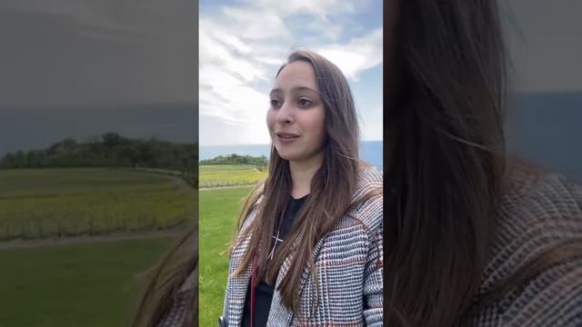 Секрет уверенных выступлений. Шкала уверенности и что на нее влияет. Избавляемся от страха говорить смотреть онлайн
