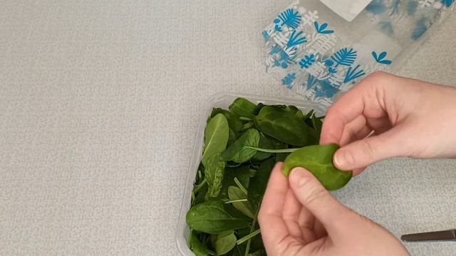 Чем отличается шпинат МИНИ от обычного (свежий зелёный), как хранить шпинат в холодильнике смотреть онлайн