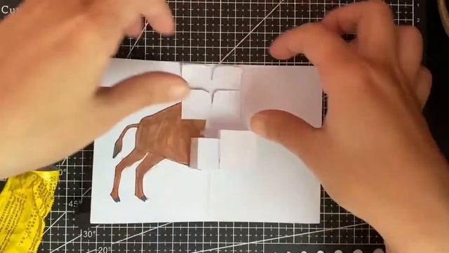 Make Eric Carle From head to toe a pop up : Buffalo raise shoulders смотреть онлайн
