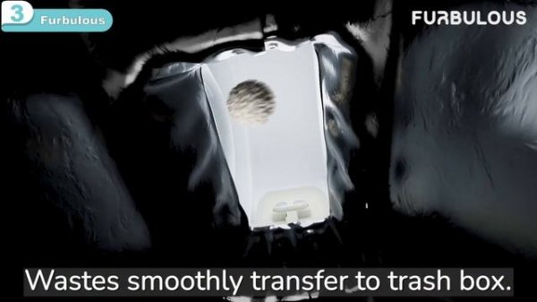 Top 5 Best Automatic Cat Litter Boxes | Self Cleaning Litter Box, Electronic Cat Litter box