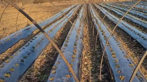 Устанавливаем балаганы ,по новому методу