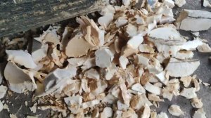 Водонагреватель в металлолом. Что внутри. Стоит ли разбирать?