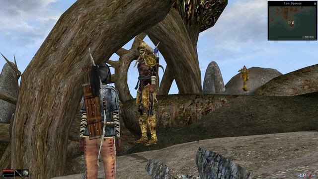 ПРОХОЖДЕНИЕ MORROWIND. Серия 7 - Где искать ТРАВУ? смотреть онлайн