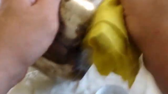 эксперимент с Metal Cleaner от Amway с безнадёжно испорченной кастрюлей смотреть онлайн