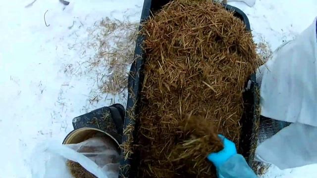 Приготовление субстрата, набивка грибных блоков смотреть онлайн