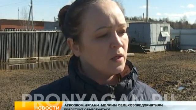 Натурпродукт по нягански смотреть онлайн