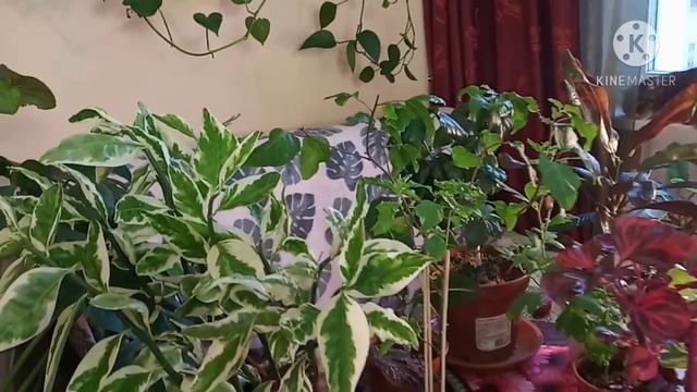 Полюбила не сразу смотреть онлайн