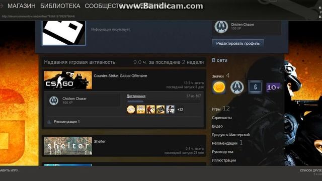 Мой профиль в Steam (Скоро буду делать летсплей)