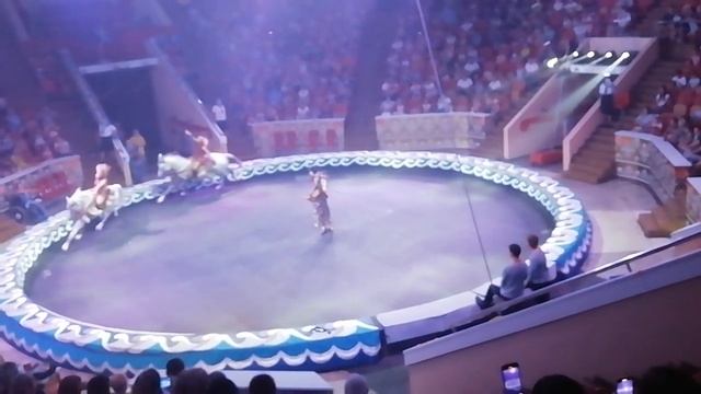 Омский цирк, жираф на острове пиратов 8 смотреть онлайн