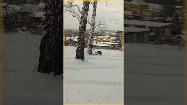 Мотособака Бобби Дог