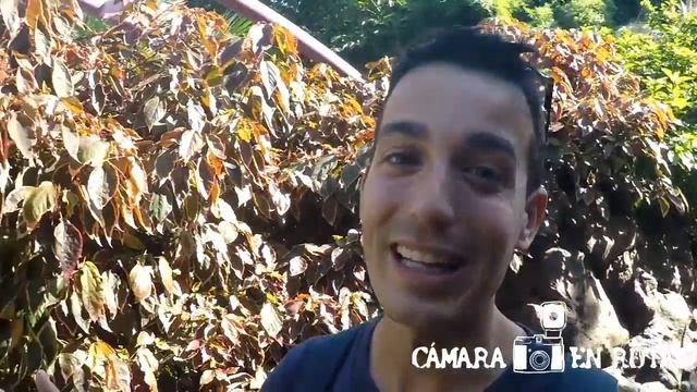 LORO PARQUE THEME PARK (TENERIFE) смотреть онлайн