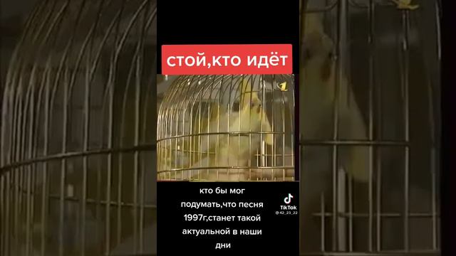 2 декабря 2021 г. смотреть онлайн