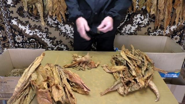 Табаководство: Делаем мешку табака в листе. смотреть онлайн