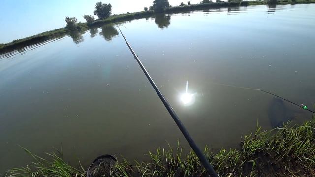 Ловля Сазана! Раздача!!! Рыбалка на реке Днестр ( Г.Турунчук) 28-29.08.23 смотреть онлайн