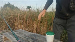 Ловля Леща на Поплавочную Удочку с Берега. Как Поймать Леща