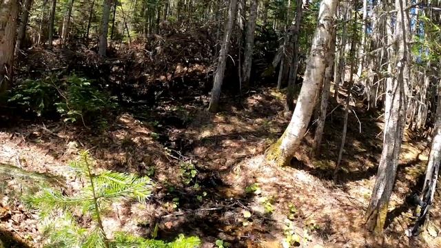 Поездка на родник Набиль смотреть онлайн