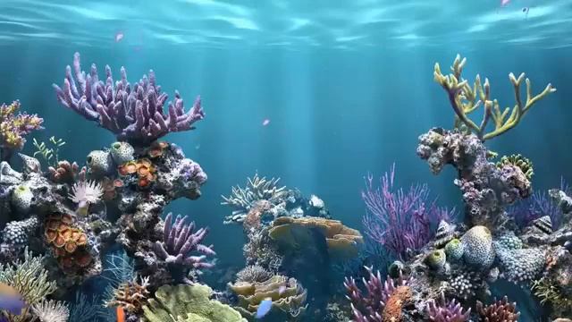 ДЛЯ ДЕТЕЙ 2 ЧАСА МУЗЫКИ ДЛЯ СНА смотреть онлайн